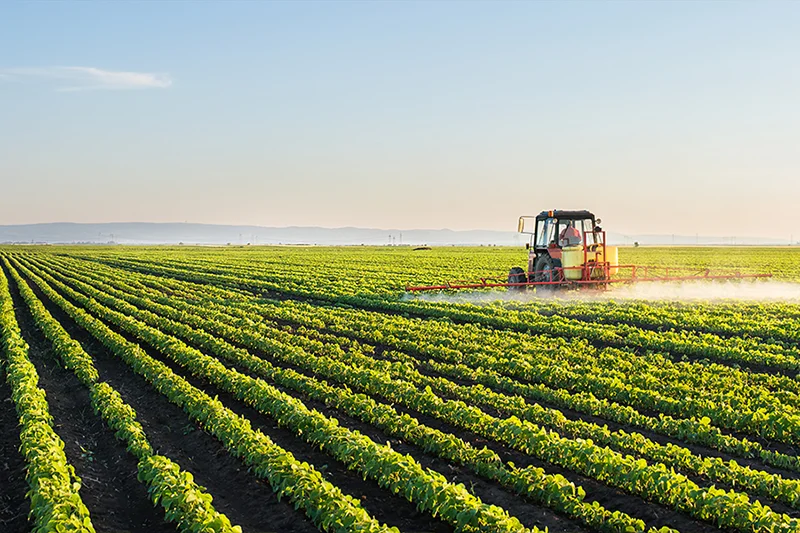 Talmhaíocht Talmhaíocht